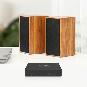 Arylic S10 preamplifier